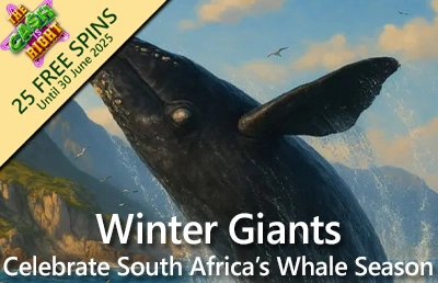 Springbok Casino Rolls Out the Red Carpet with 25 Free Spins