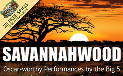 Springbok Casino Rolls Out the Red Carpet with 25 Free Spins